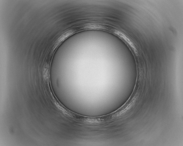 X0000116261049200912141304