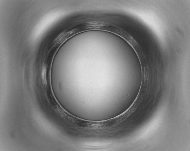 X0000116261054200912141304