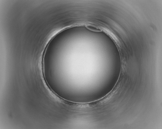 X0000116261055200912141304