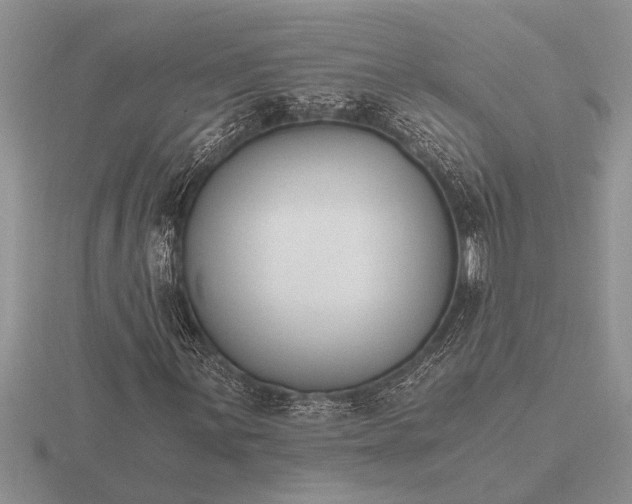 X0000116261059200912141303