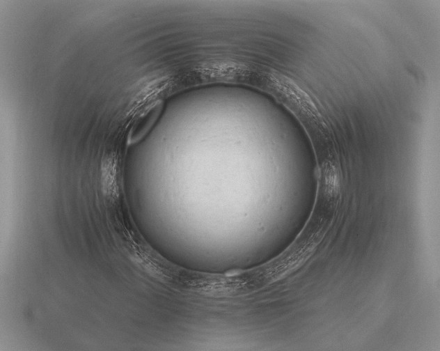 X0000116261060200912141303