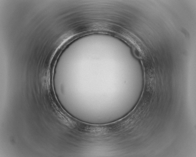 X0000116261076200912141303