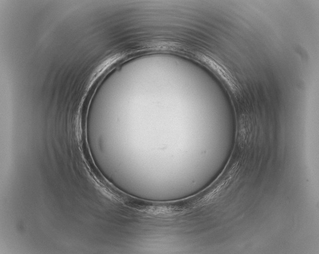 X0000116261082200912141303