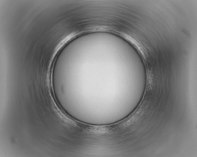 X0000116261090200912141303