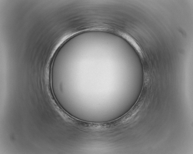 X0000116261099200912141302