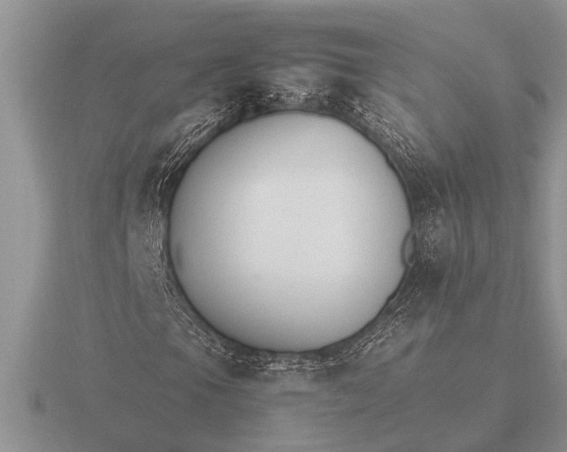X0000116261105200912141302