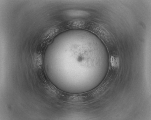 X0000116261107200912141302
