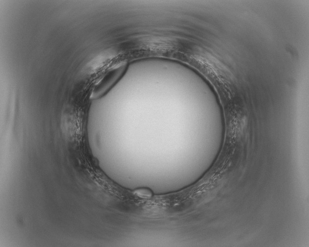 X0000116261110200912141302