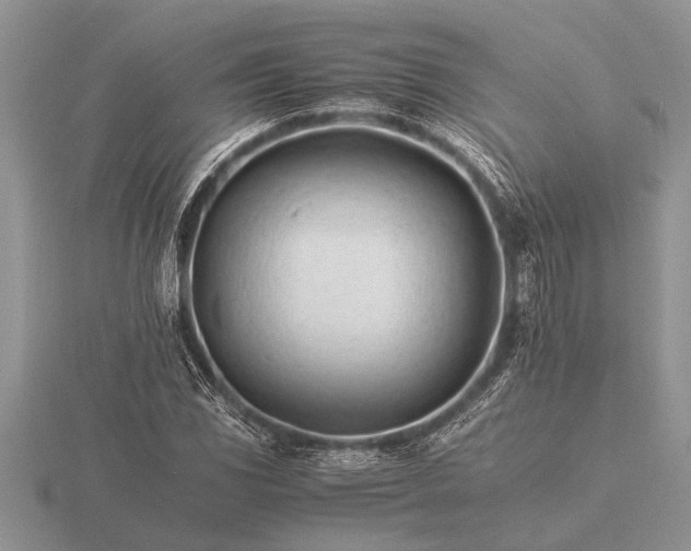 X0000116261117200912141302