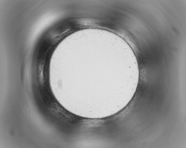 X0000116261150200912141302