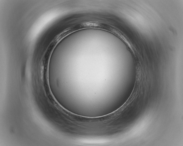 X0000116261151200912141302