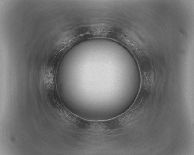 X0000116261154200912141302