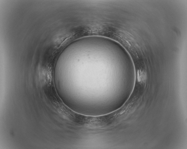 X0000116261155200912141302