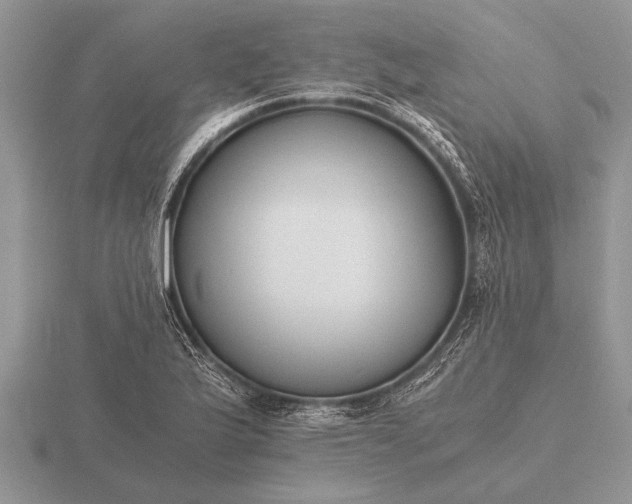 X0000116261175200912141302