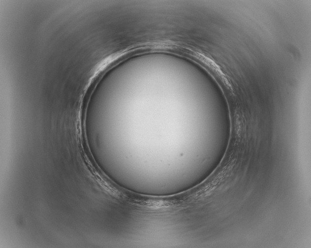 X0000116261176200912141302