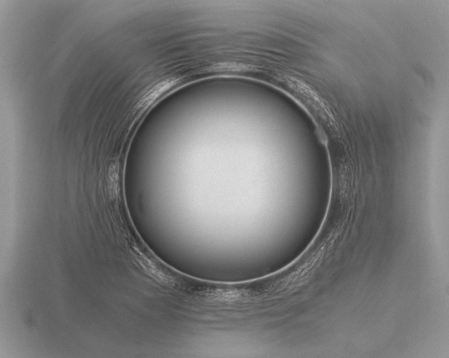 X0000116261177200912141301