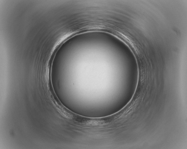 X0000116261179200912141301