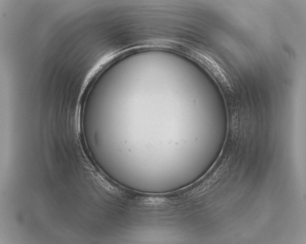 X0000116261180200912141301