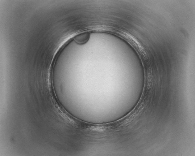 X0000116261182200912141301