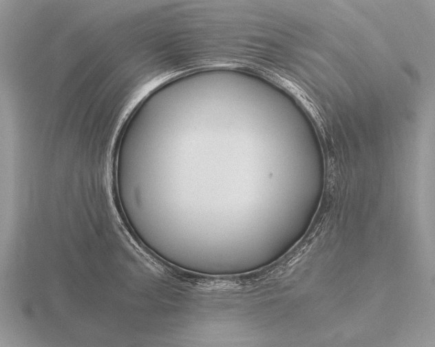 X0000116261187200912141301
