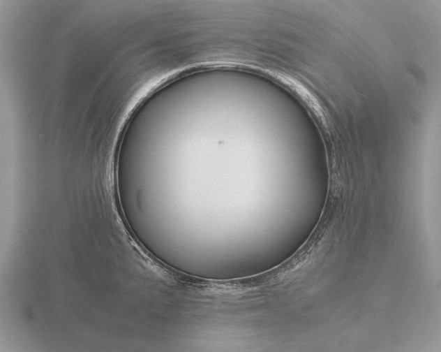 X0000116261191200912141301