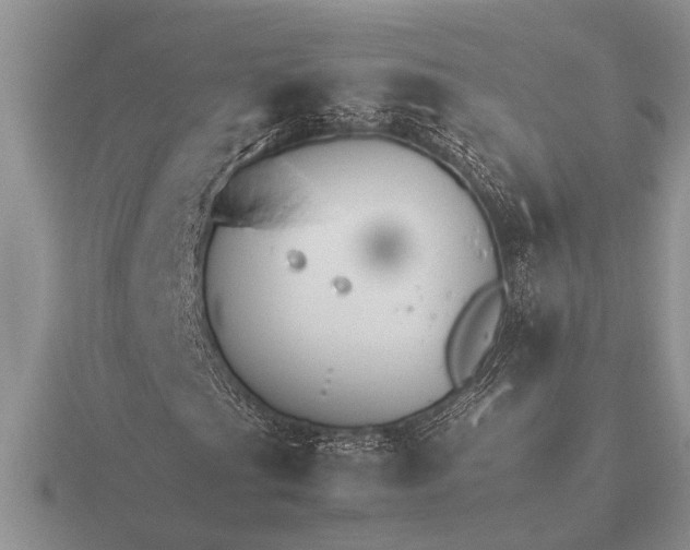 X0000116261201200912141300