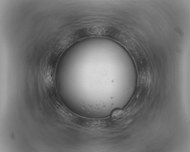 X0000116261202200912141300