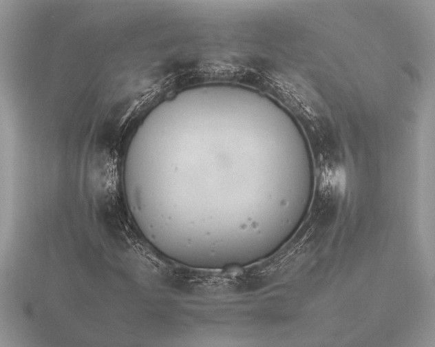 X0000116261204200912141300