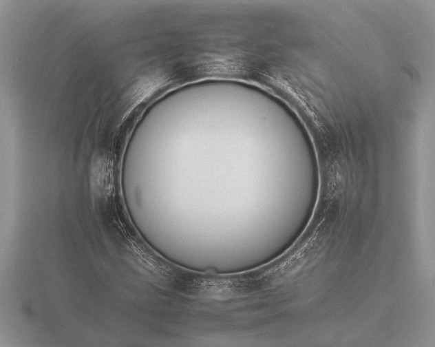 X0000116261211200912141301