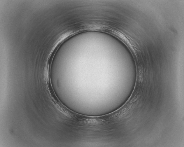 X0000116261227200912141301