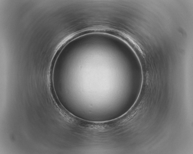 X0000116261229200912141301