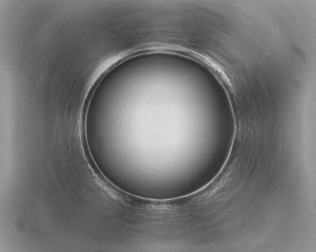 X0000116261231200912141301