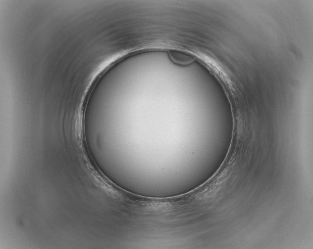 X0000116261238200912141301