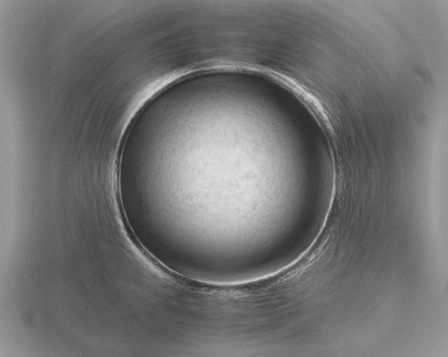X0000116261239200912141301