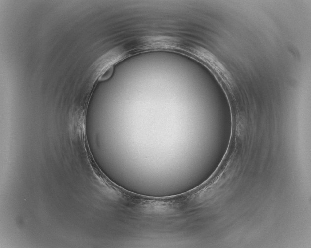 X0000116261241200912141301