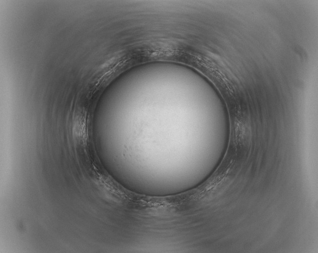 X0000116261250200912141300