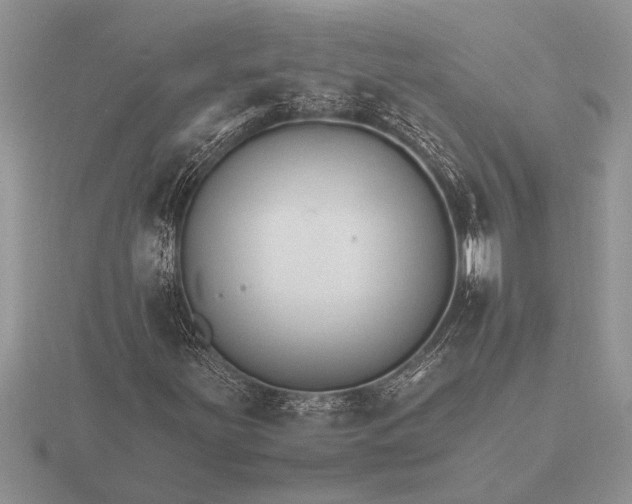 X0000116261251200912141300