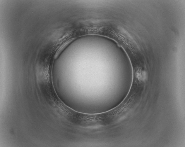 X0000116261252200912141300