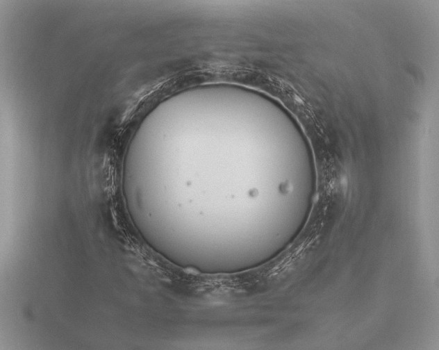 X0000116261253200912141300