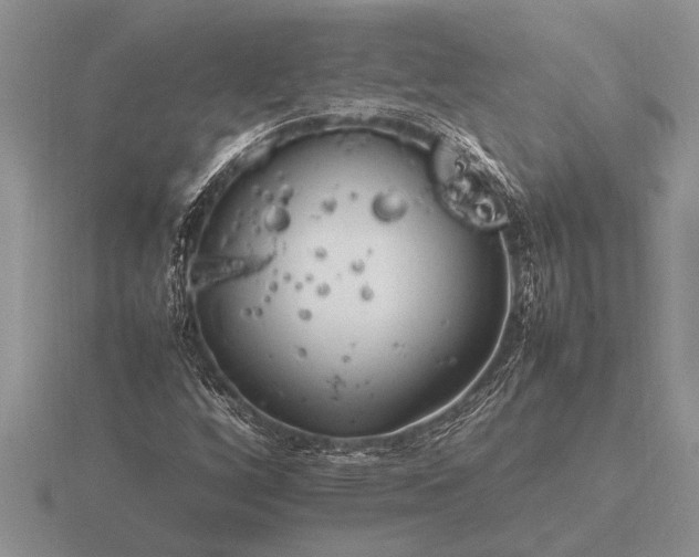 X0000116261256200912141300