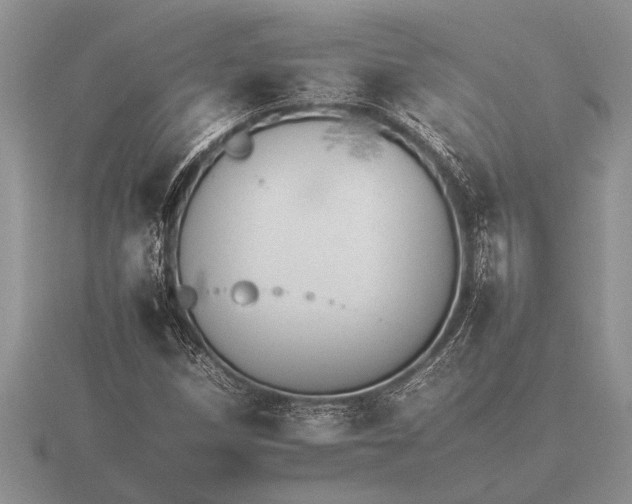 X0000116261258200912141300