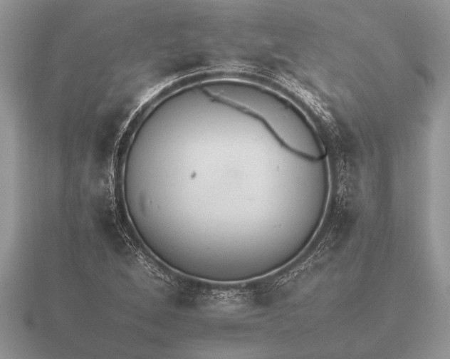 X0000116261264200912141300