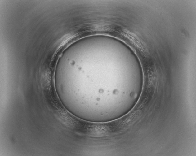 X0000116261266200912141300