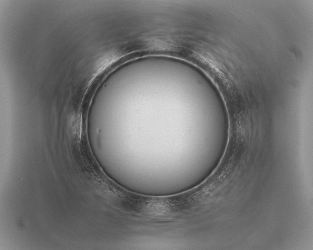 X0000116261267200912141300