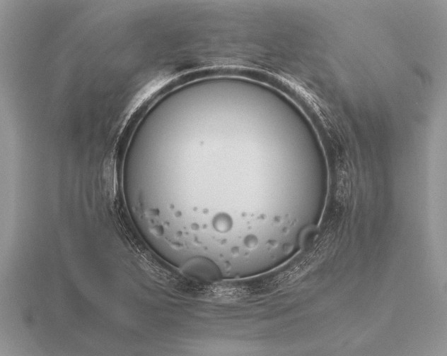 X0000116261271200912141300