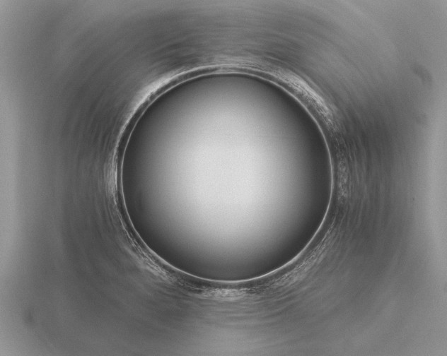 X0000116261280200912141300