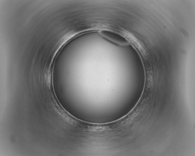 X0000116261284200912141300