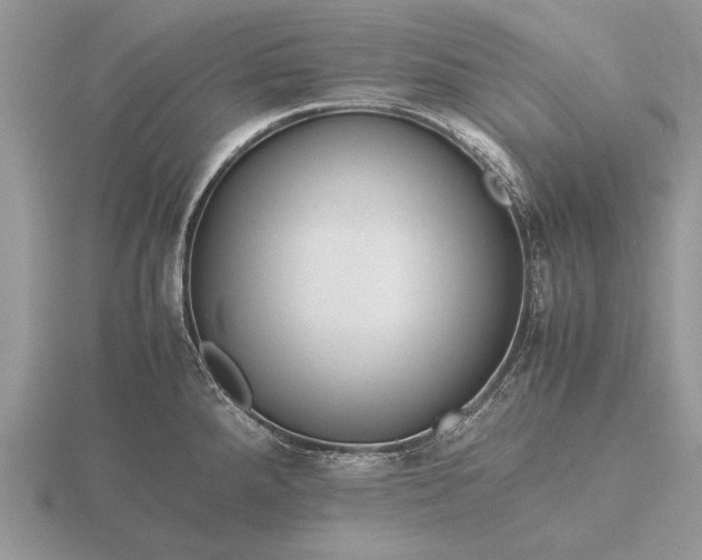 X0000116261288200912141300