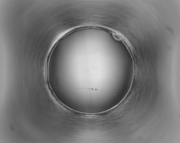 X0000116261295200912141300