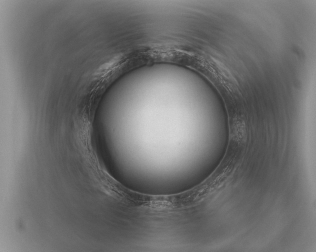 X0000116261297200912141259